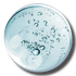 Hydrolyzed Hyaluronic Acid